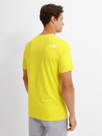Футболка The North Face RUST 2 модель NF0A4M687601 Фото