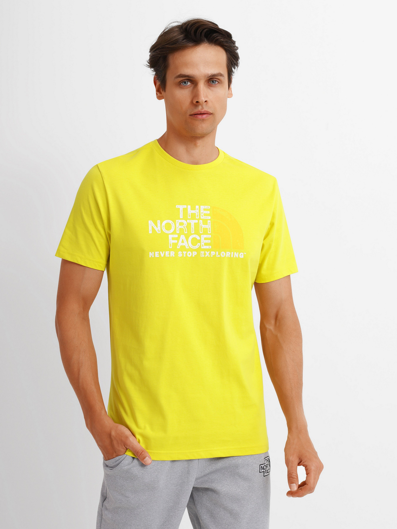 Футболка The North Face RUST 2 модель NF0A4M687601 Фото