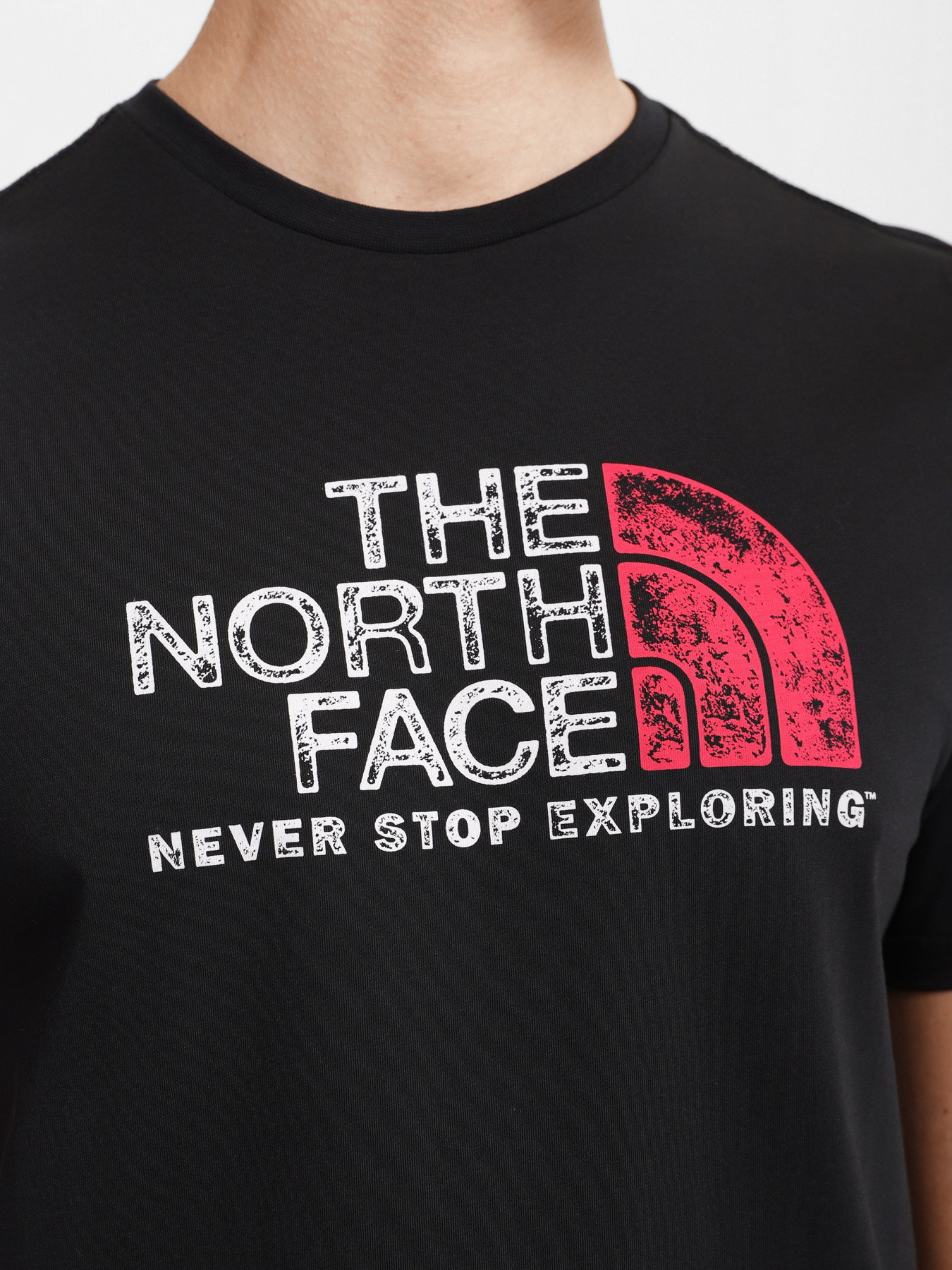 Футболка The North Face Rust 2 модель NF0A4M684A91 Фото