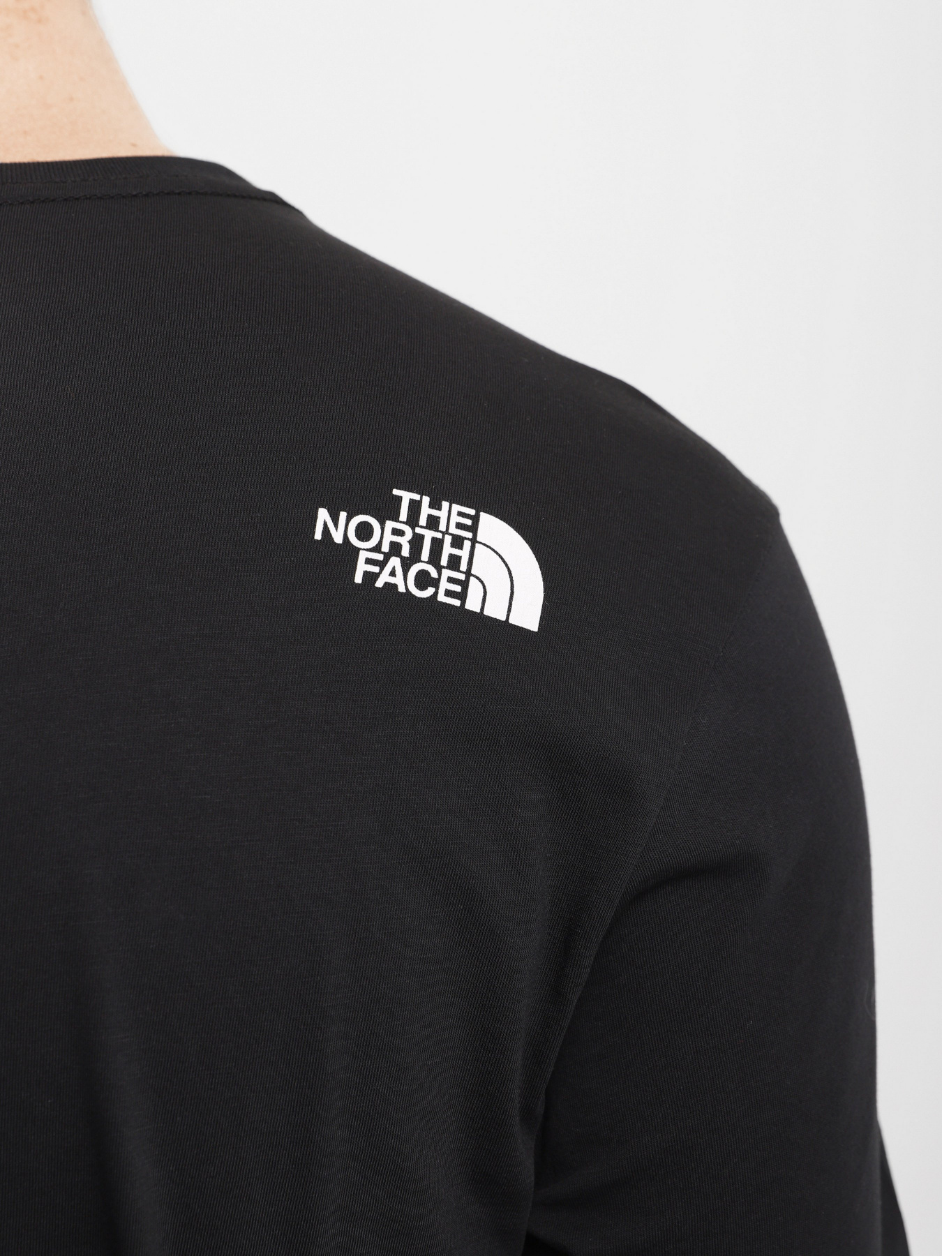 Футболка The North Face Rust 2 модель NF0A4M684A91 Фото