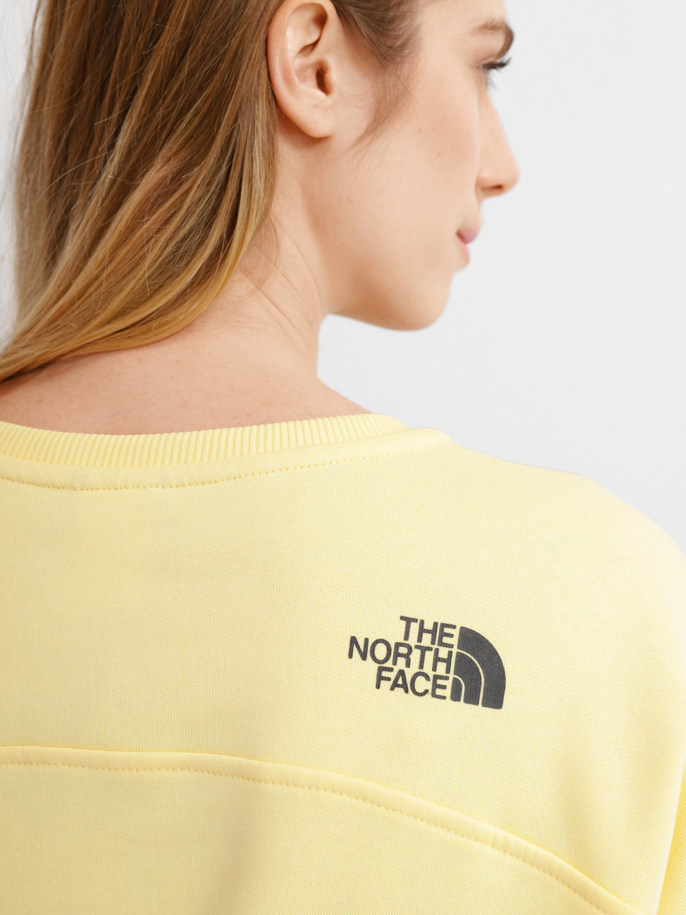 Свитшот The North Face Drew Peak Crew модель NF0A3S4G3R41 Фото