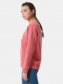 Свитшот The North Face Drew Peak Crew модель NF0A3S4G3961 Фото