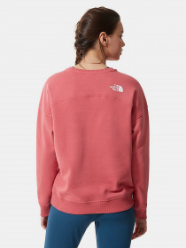 Свитшот The North Face Drew Peak Crew модель NF0A3S4G3961 Фото