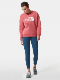 Свитшот The North Face Drew Peak Crew модель NF0A3S4G3961 Фото