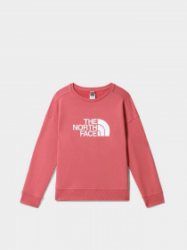 Свитшот The North Face Drew Peak Crew модель NF0A3S4G3961 Фото