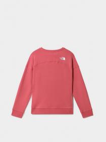Свитшот The North Face Drew Peak Crew модель NF0A3S4G3961 Фото