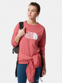 Худи и свитшоты The North Face Drew Peak Crew модель NF0A3S4G3961 Фото