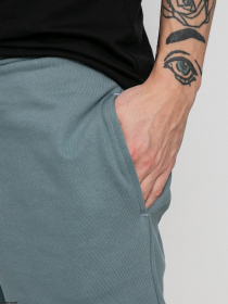 Шорты спортивные The North Face Standard модель NF0A3S4EA9L1 Фото