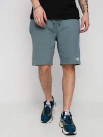 Шорты спортивные The North Face Standard модель NF0A3S4EA9L1 Фото