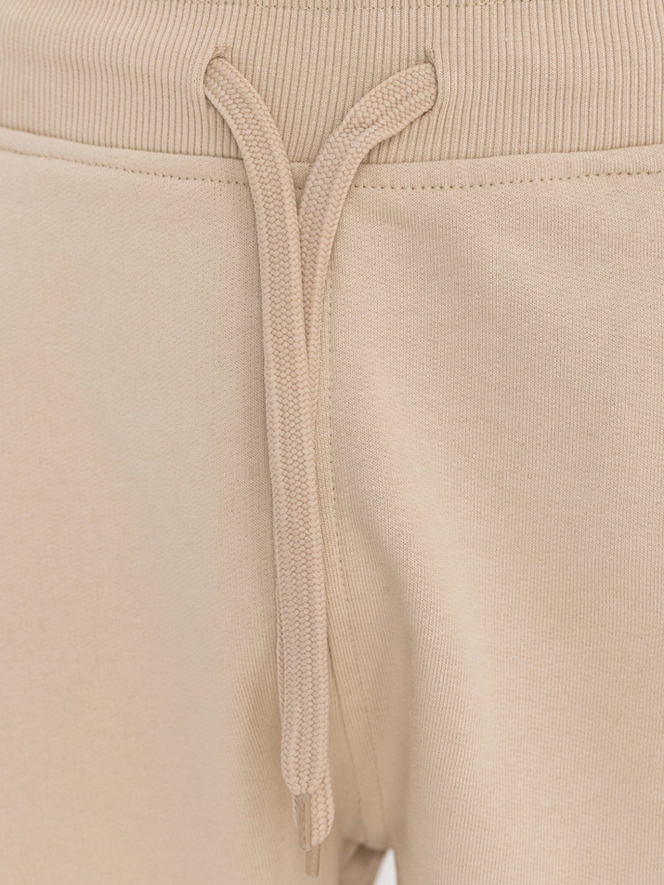 Повседневные шорты The North Face Standard модель NF0A3S4E3X41 Фото