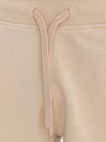 Повседневные шорты The North Face Standard модель NF0A3S4E3X41 Фото