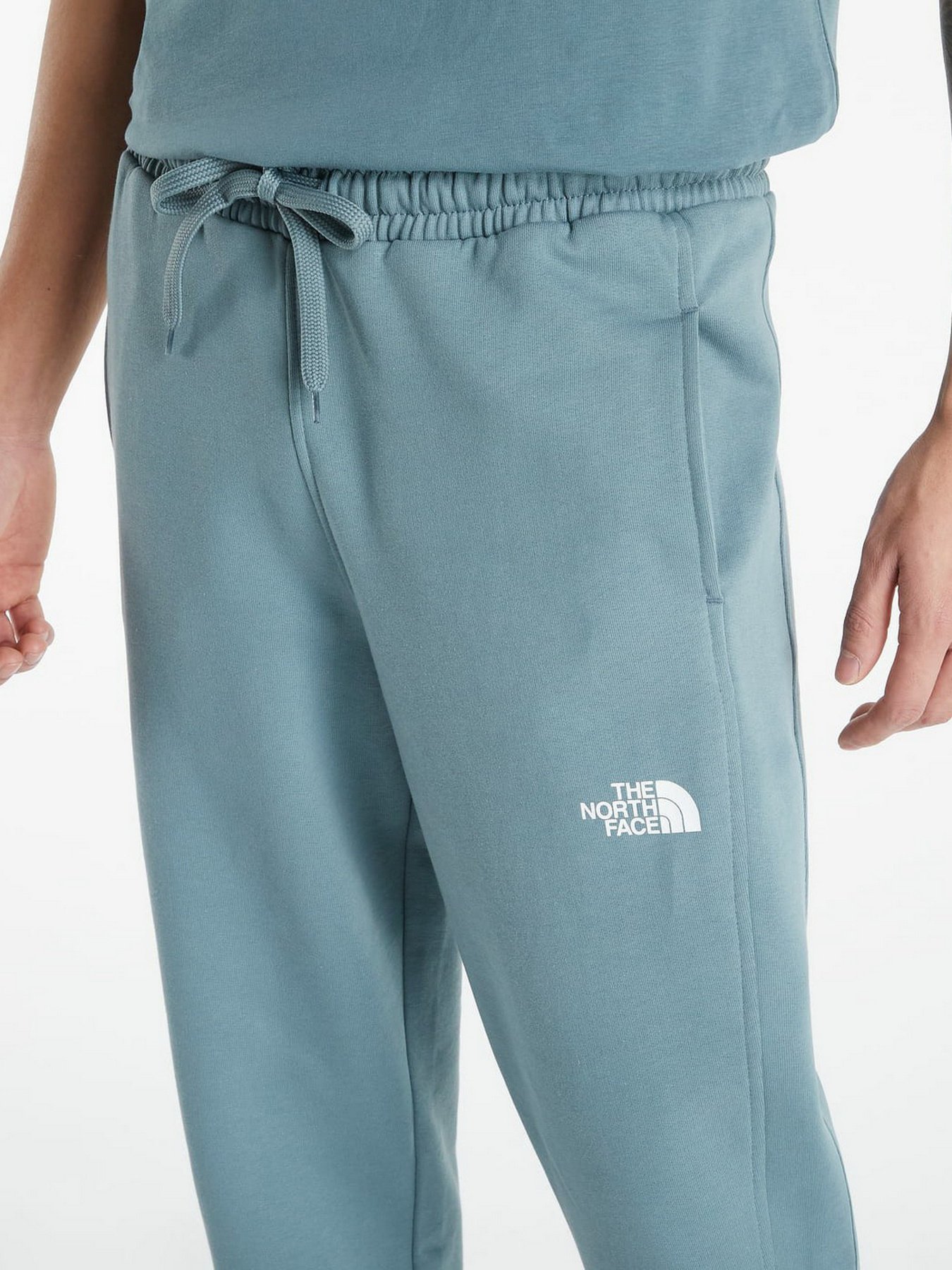 Штаны спортивные The North Face Standard модель NF0A4M7LA9L1 Фото