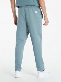 Штаны спортивные The North Face Standard модель NF0A4M7LA9L1 Фото