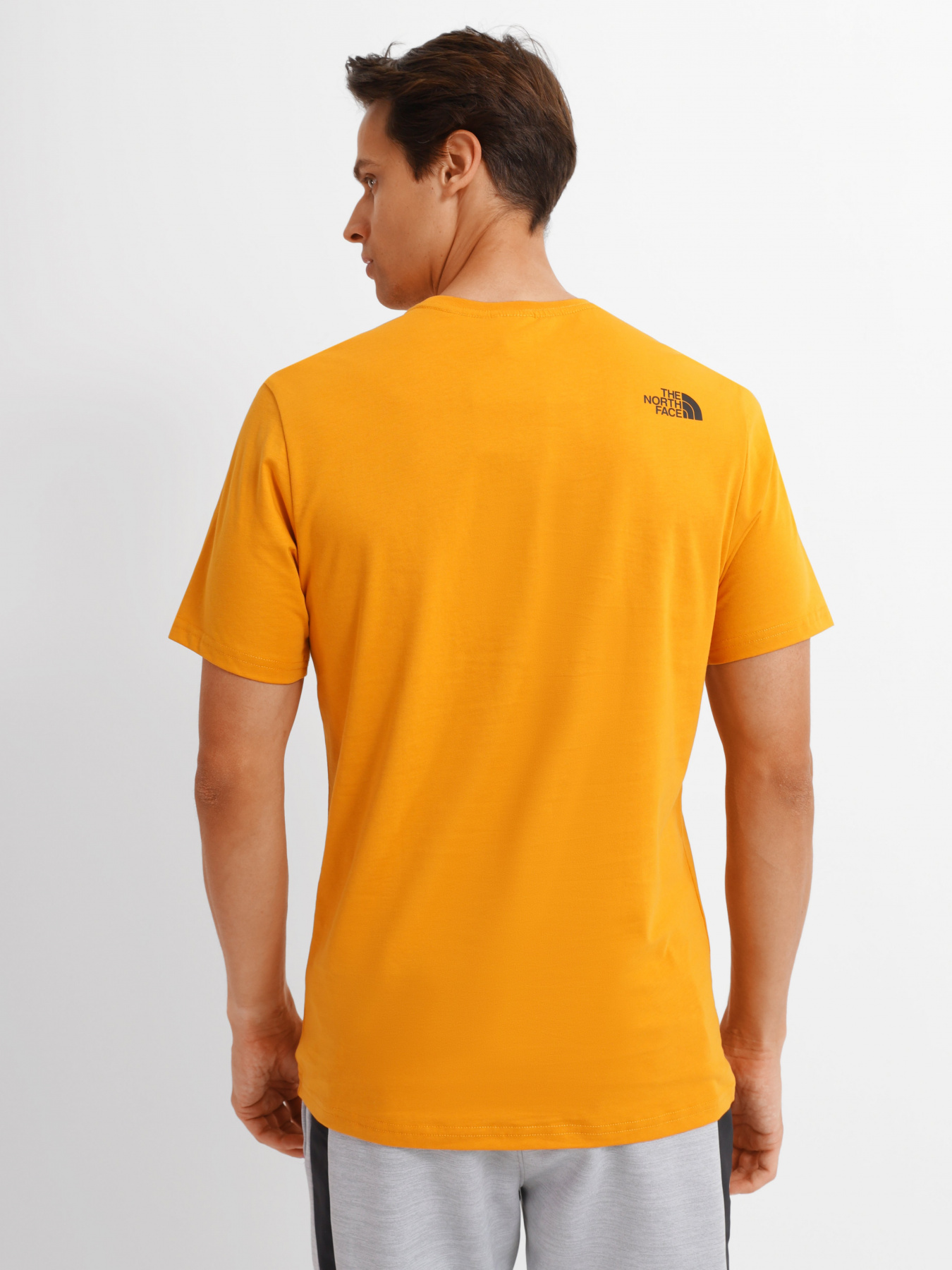 Футболка The North Face Graphic Half Dome модель NF0A7R3AHBX1 Фото