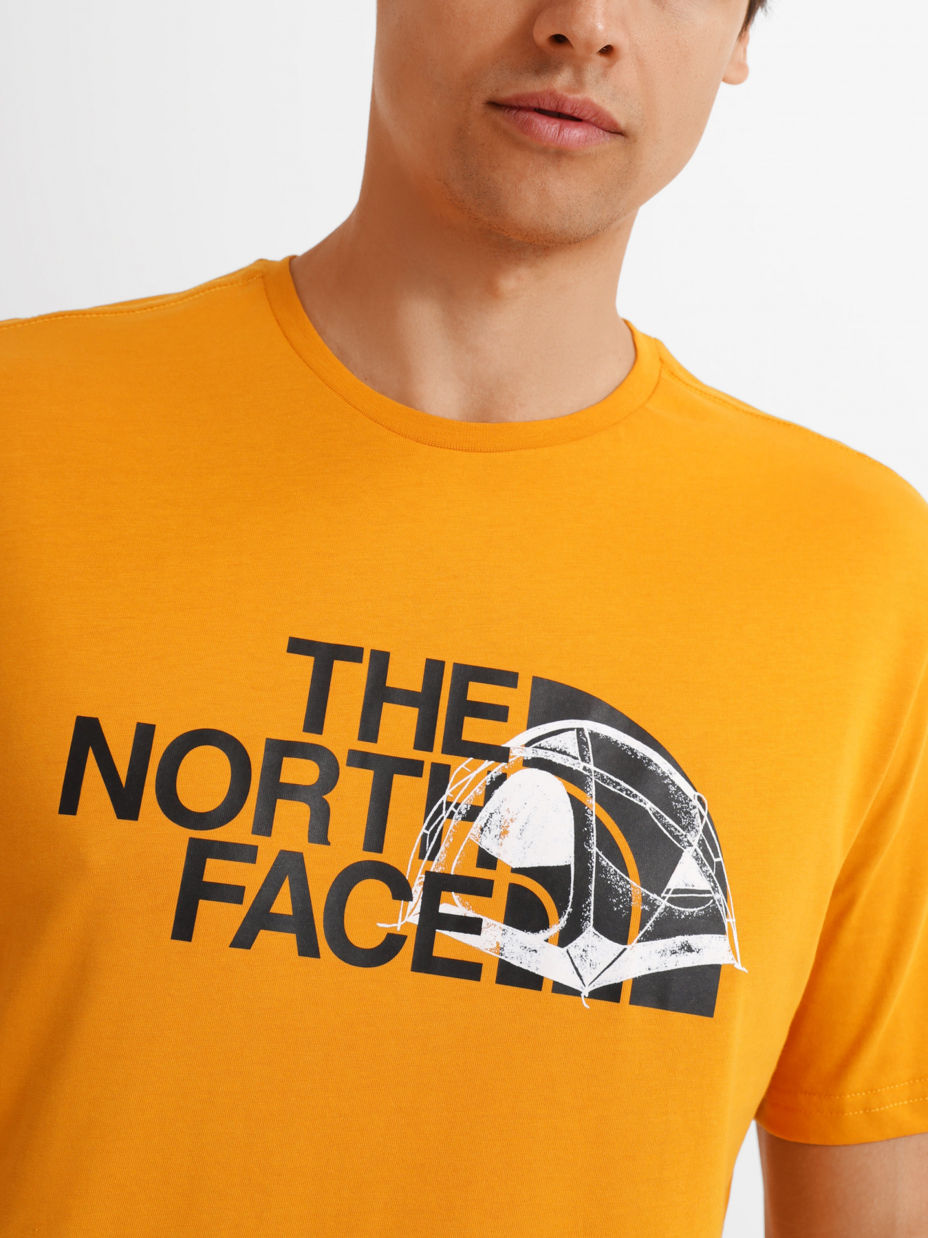 Футболка The North Face Graphic Half Dome модель NF0A7R3AHBX1 Фото