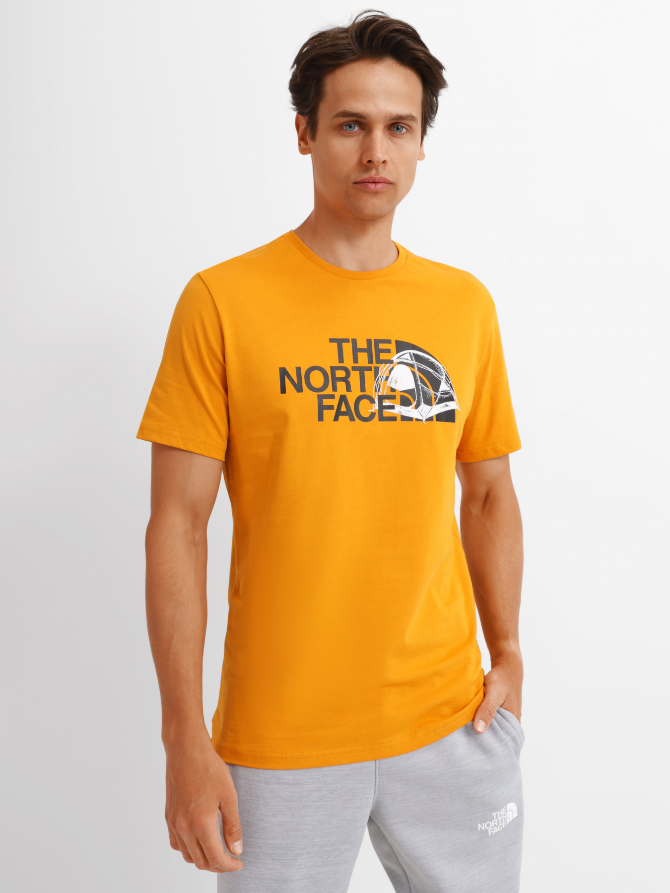 Футболка The North Face Graphic Half Dome модель NF0A7R3AHBX1 Фото