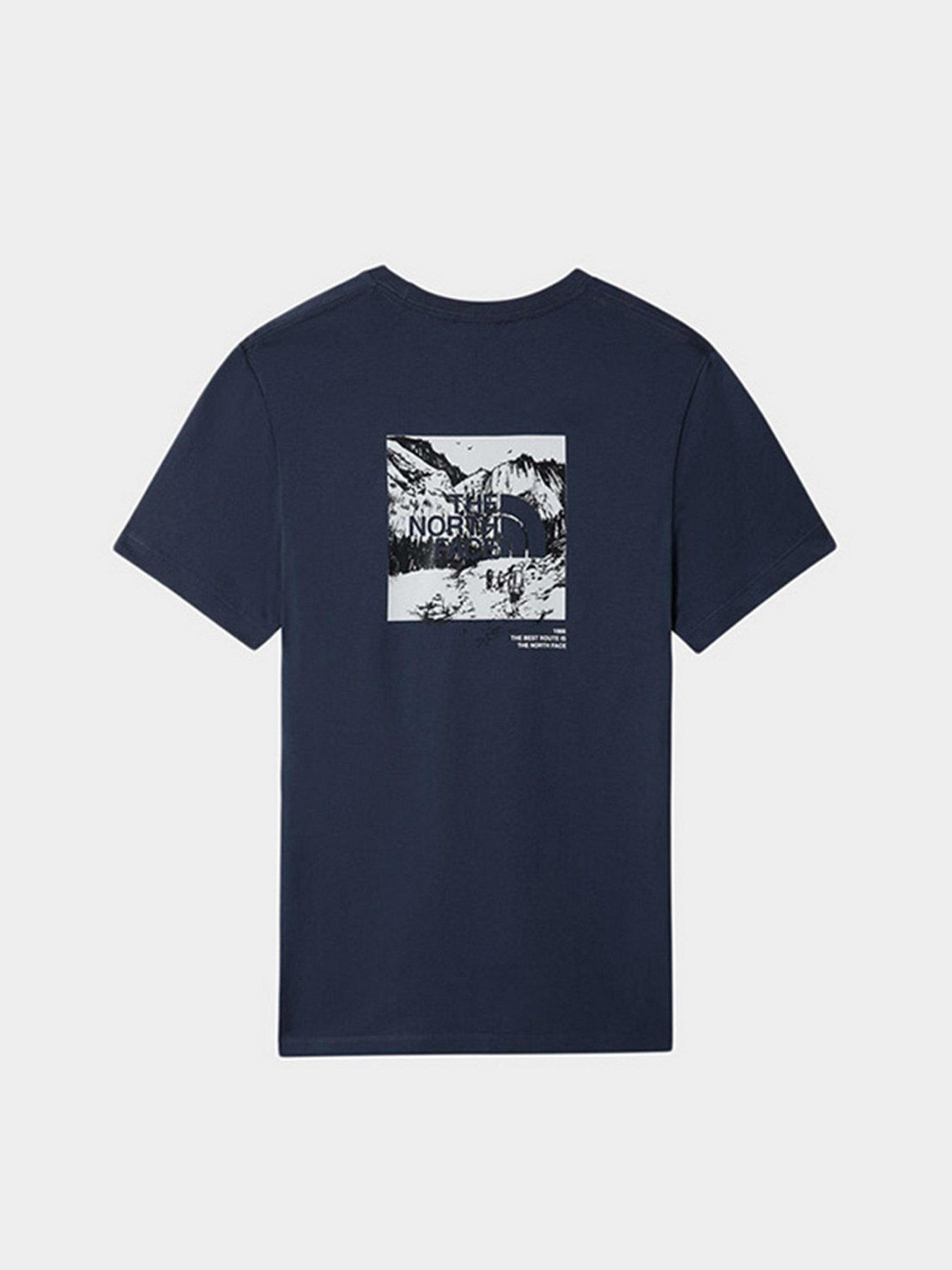 Футболка The North Face Half Dome модель NF0A7R3DN4L1 Фото