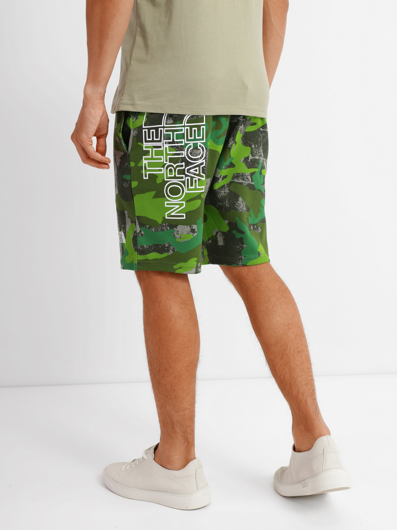 Шорти The North Face GRAPHIC SHORT LIGHT модель NF0A3S4F52H1 Фото