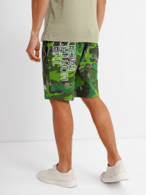 Шорти The North Face GRAPHIC SHORT LIGHT модель NF0A3S4F52H1 Фото