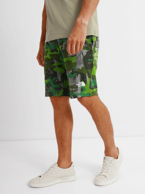 Шорты The North Face GRAPHIC SHORT LIGHT модель NF0A3S4F52H1 Фото