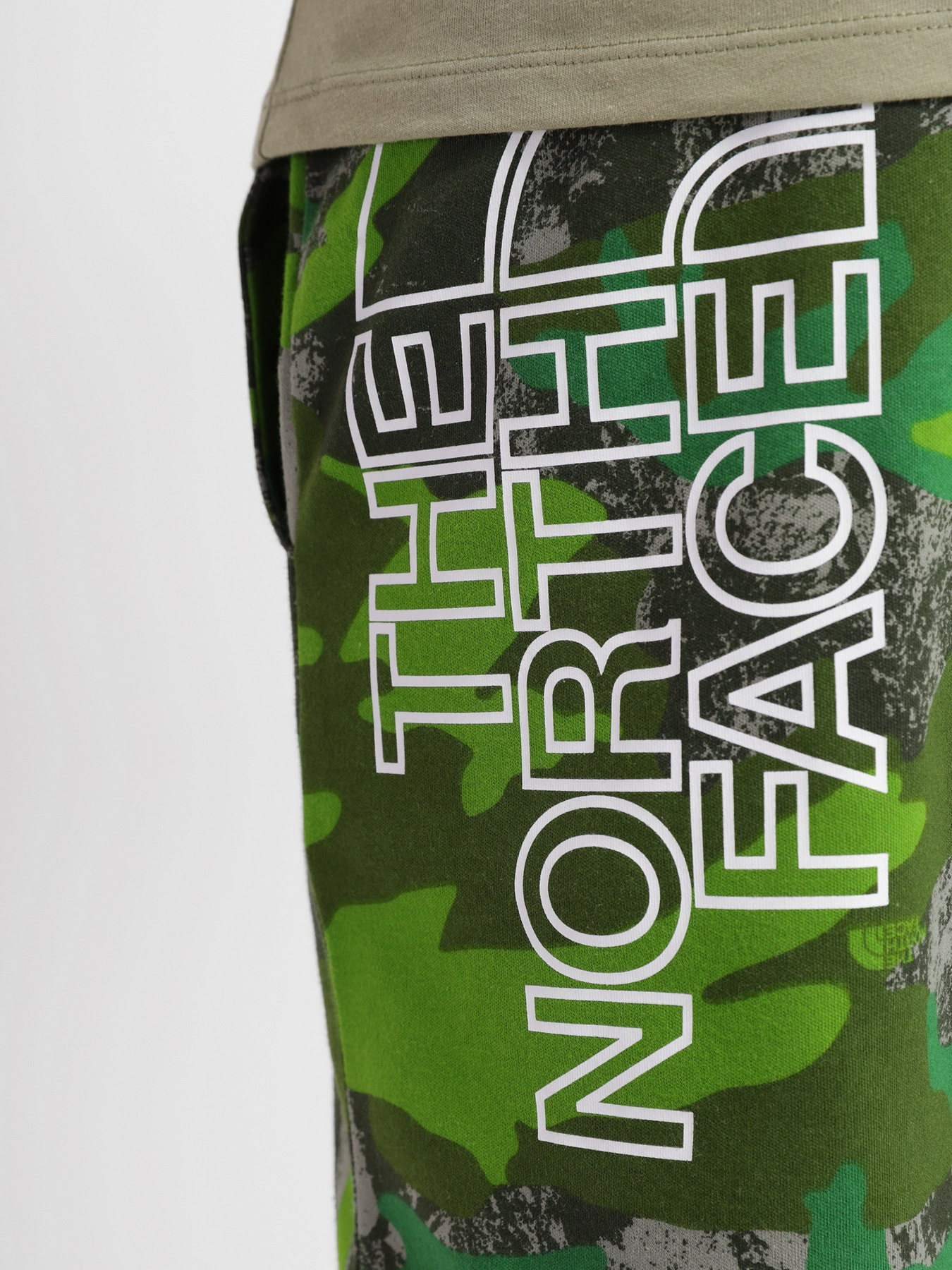 Повседневные шорты The North Face GRAPHIC SHORT LIGHT модель NF0A3S4F52H1 Фото