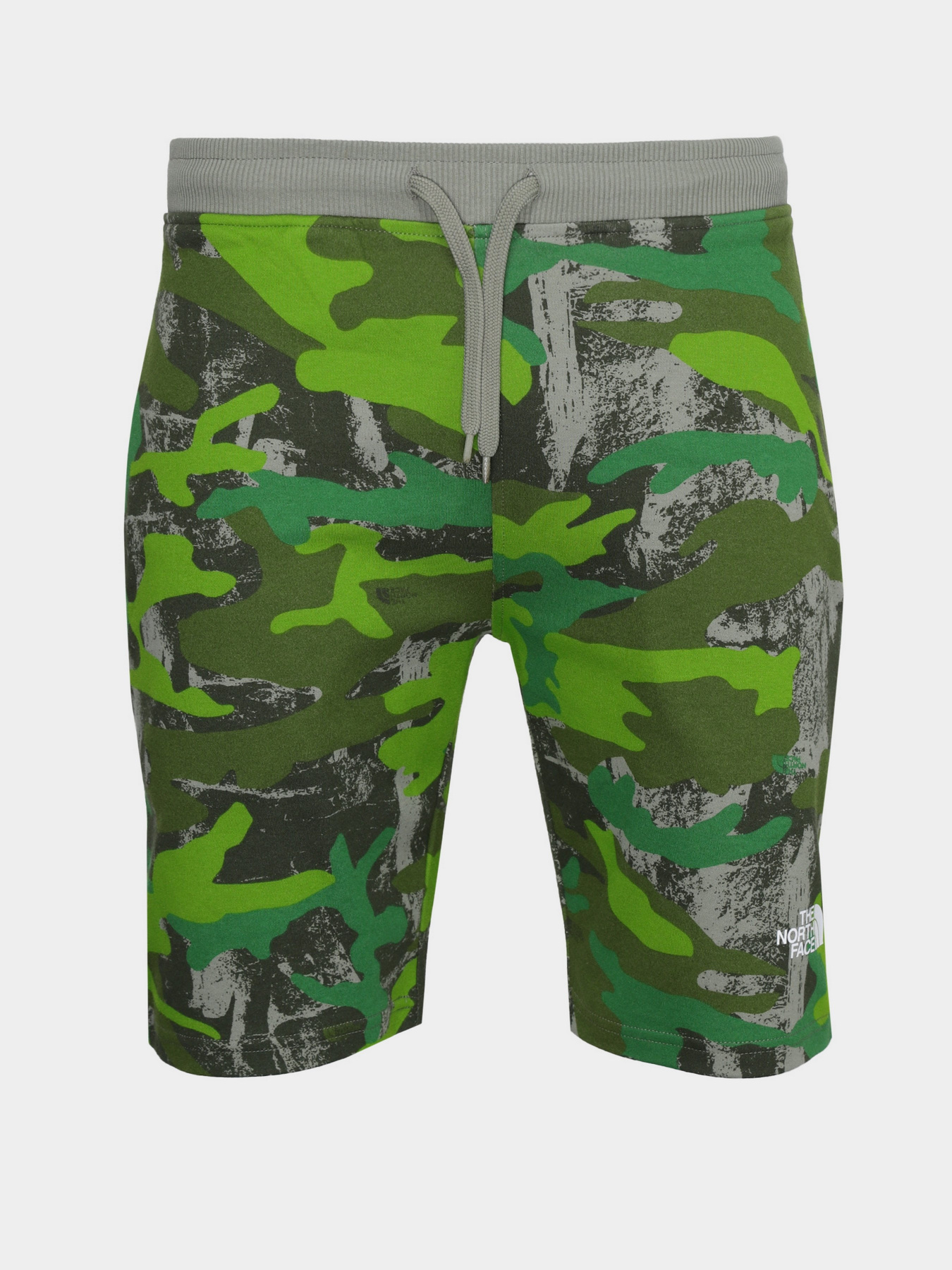 Повседневные шорты The North Face GRAPHIC SHORT LIGHT модель NF0A3S4F52H1 Фото
