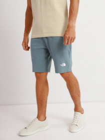 Шорти The North Face GRAPHIC SHORT LIGHT модель NF0A3S4FA9L1 Фото
