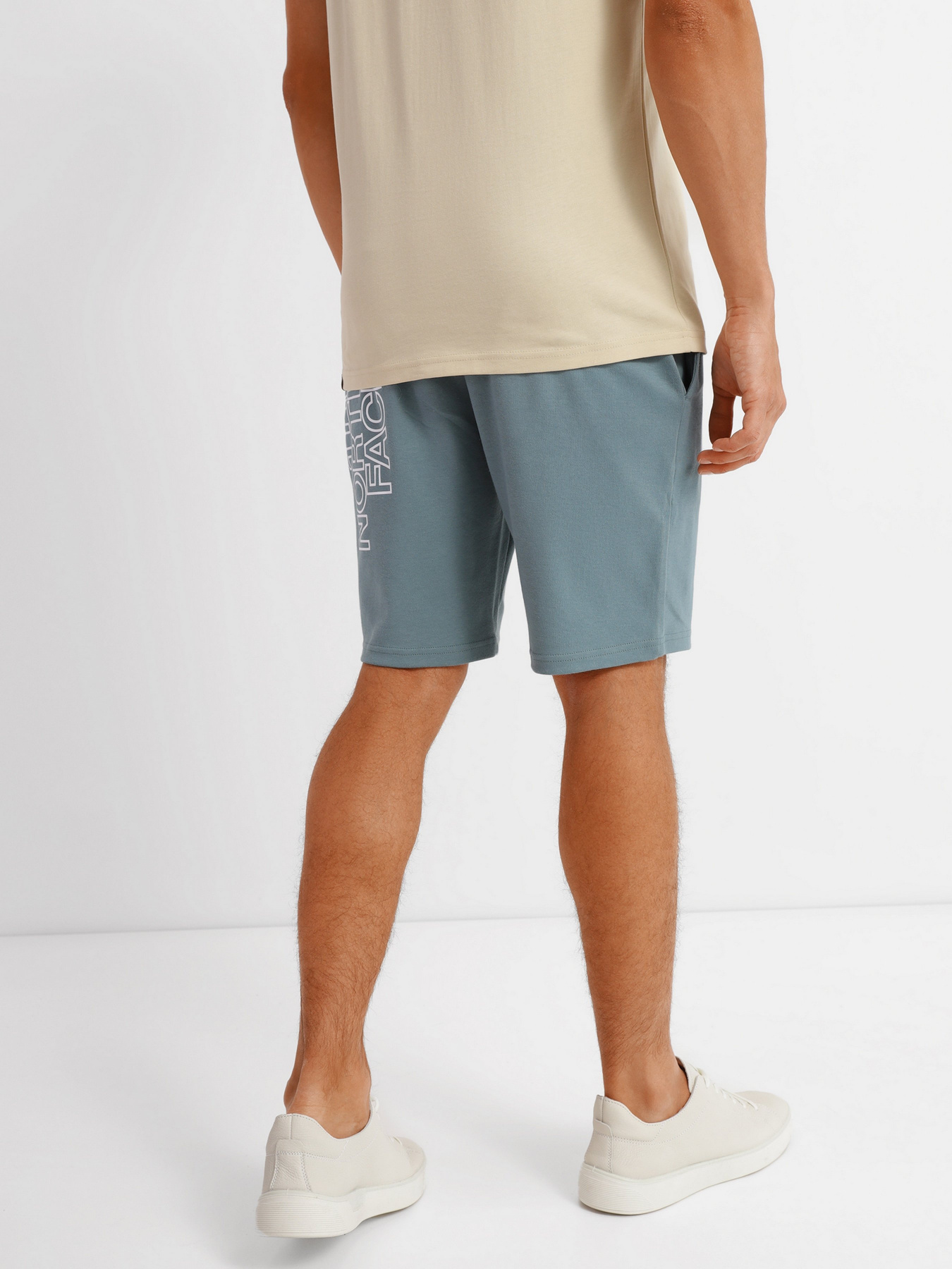 Повседневные шорты The North Face GRAPHIC SHORT LIGHT модель NF0A3S4FA9L1 Фото