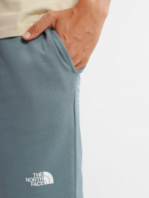 Повседневные шорты The North Face GRAPHIC SHORT LIGHT модель NF0A3S4FA9L1 Фото