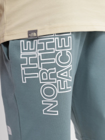 Повседневные шорты The North Face GRAPHIC SHORT LIGHT модель NF0A3S4FA9L1 Фото