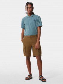 Поло The North Face Piquet модель NF00CG71A9L1 Фото