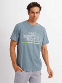 Футболки і поло The North Face Coordinates модель NF0A5IGAA9L1 Фото