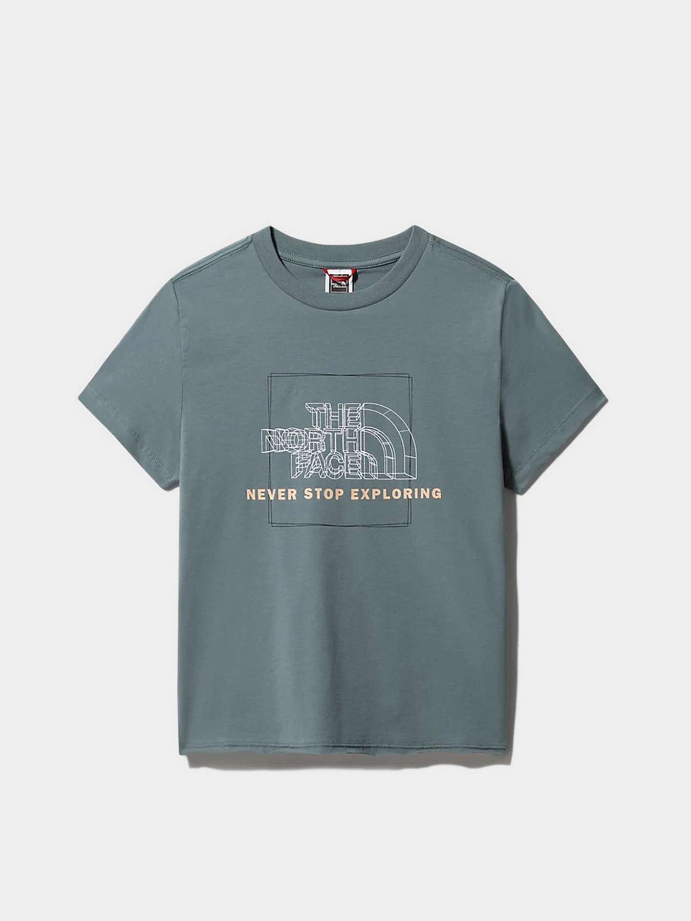 Футболки и поло The North Face Coordinates модель NF0A5IFZA9L1 Фото