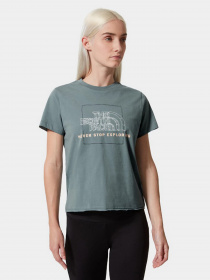 Футболки и поло The North Face Coordinates модель NF0A5IFZA9L1 Фото