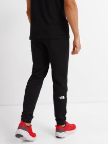 Спортивні штани The North Face Coordinates модель NF0A5IGBJK31 Фото