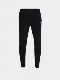 Спортивні штани The North Face Coordinates модель NF0A5IGBJK31 Фото