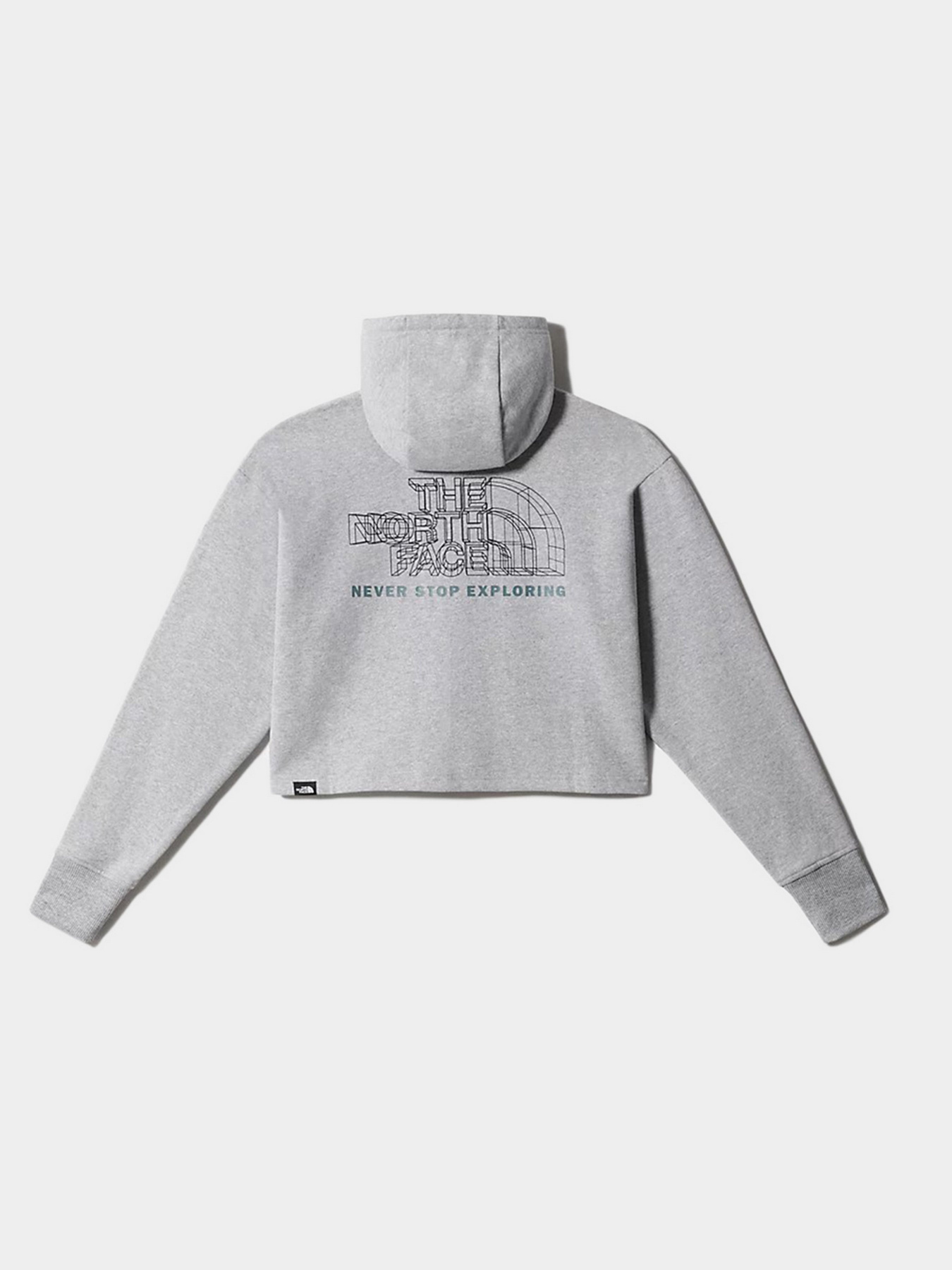 Худи The North Face Coordinates Crop модель NF0A5IFXDYX1 Фото