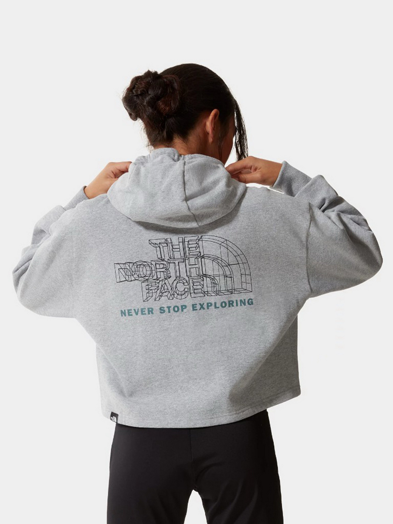 Худи The North Face Coordinates Crop модель NF0A5IFXDYX1 Фото