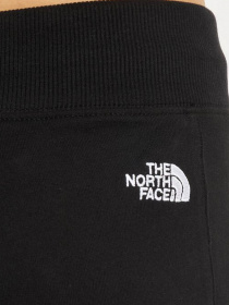 Штаны спортивные The North Face NSE Light модель NF0A7QZYJK31 Фото