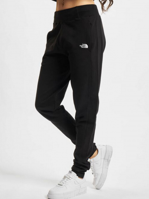 Штаны спортивные The North Face NSE Light модель NF0A7QZYJK31 Фото