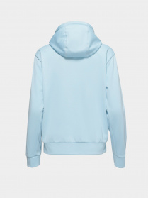 Худі The North Face Exploration Pullover Fleece Heren модель NF0A5GB74611 Фото