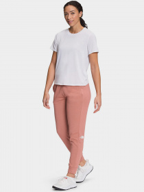 Штаны спортивные The North Face  Exploration Fleece модель NF0A5GB9HST1 Фото