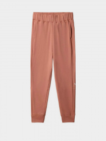 Штаны спортивные The North Face  Exploration Fleece модель NF0A5GB9HST1 Фото