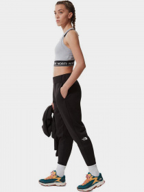 Штаны спортивные The North Face  Exploration Fleece модель NF0A5GB9JK31 Фото