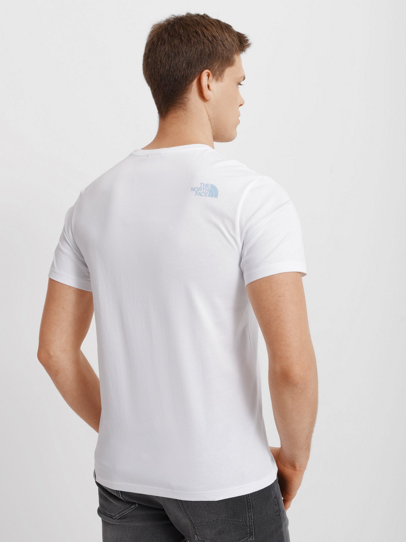 Футболка The North Face Graphic модель NF0A5IH1FN41 Фото