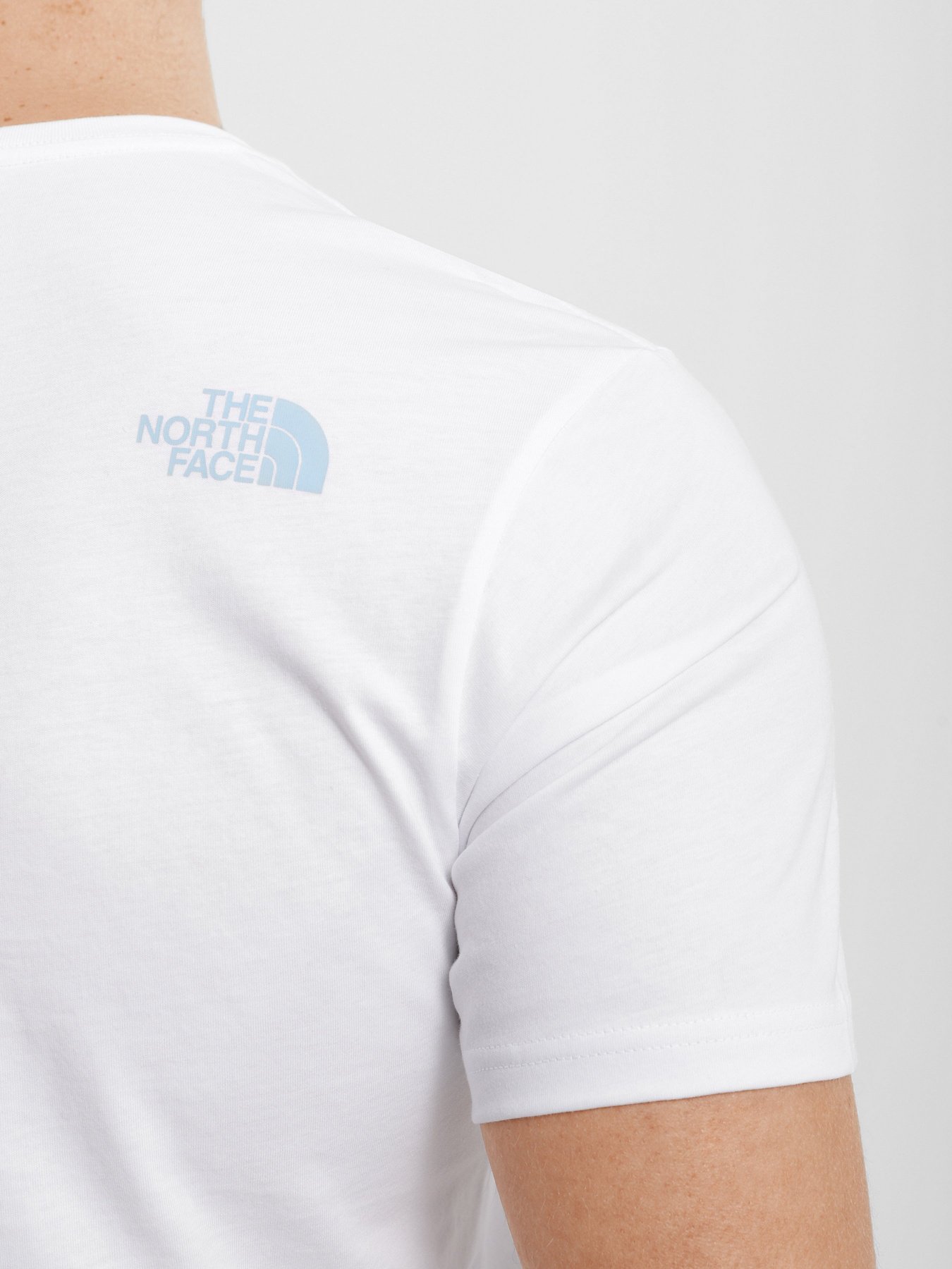 Футболка The North Face Graphic модель NF0A5IH1FN41 Фото