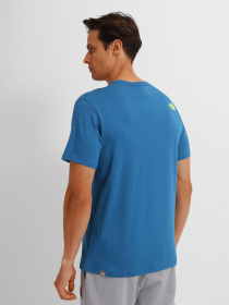 Футболка The North Face Graphic модель NF0A5IH1M191 Фото
