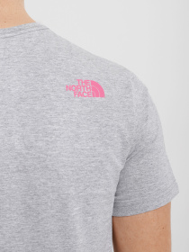 Футболка The North Face Graphic модель NF0A5IH1DYX1 Фото