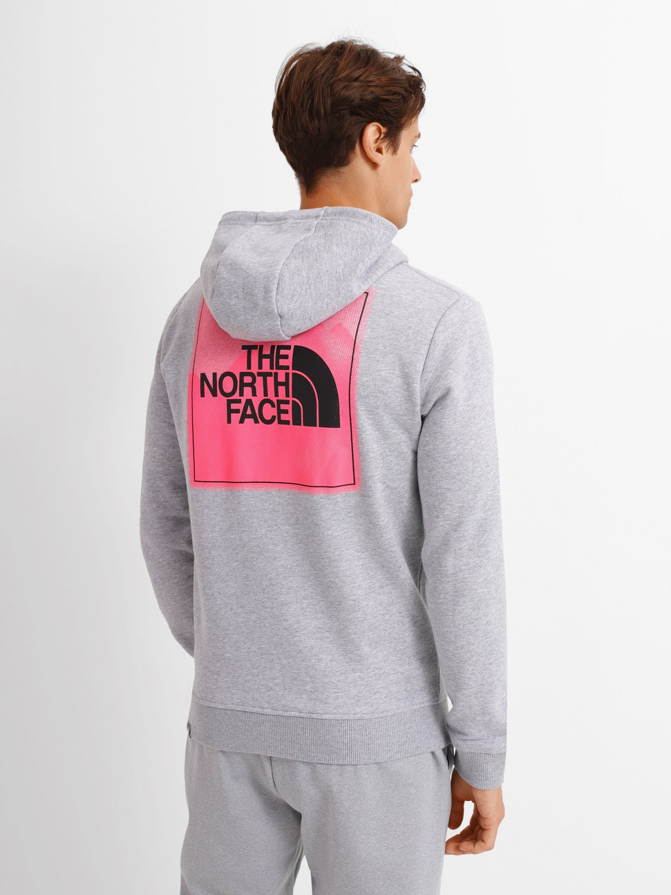Худи The North Face Graphic Light модель NF0A5IGZDYX1 Фото
