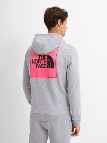 Худи The North Face Graphic Light модель NF0A5IGZDYX1 Фото